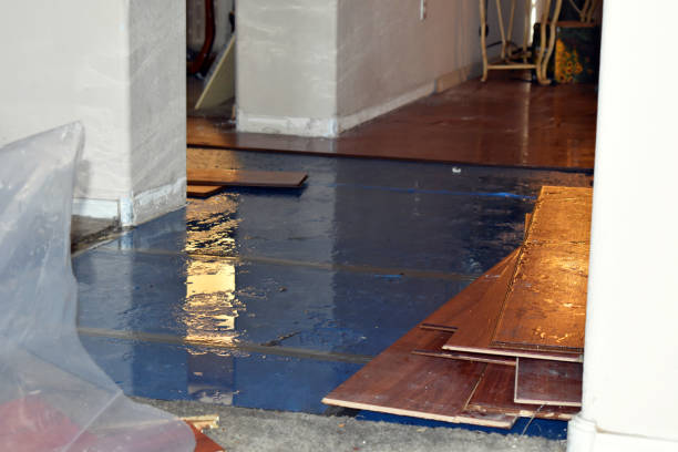 Professional Emergency Water Damage Restoration technician working in Bynum, TX